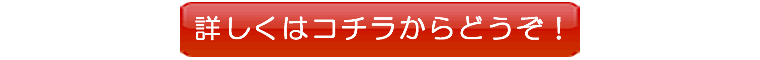 神田昌典と井上久美の「洋書トライアスロン」「洋トラ」商品の詳細はコチラから御覧下さい。